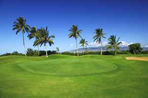 Hawaii Prince A5 Hole-2